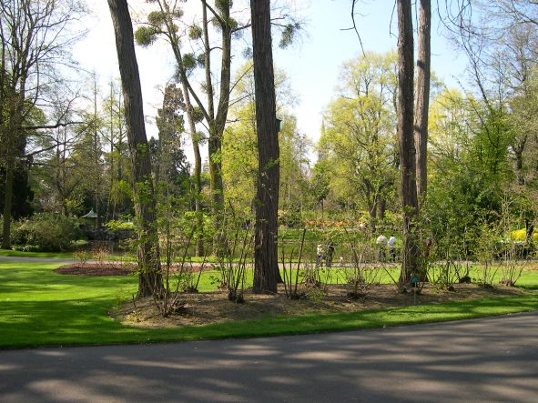  plantations du jardin des plantes